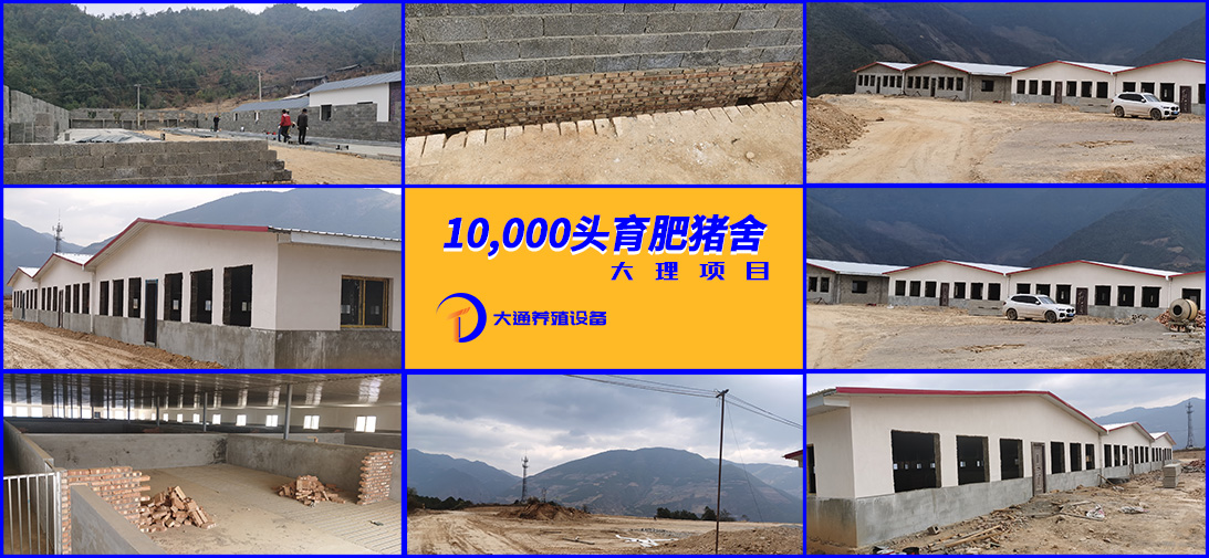 大理1w頭育（yù）肥豬場